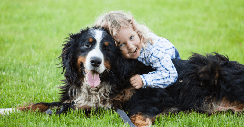 Wie du deinen Hund natürlich entwurmen kannst • Gesundgelaunt