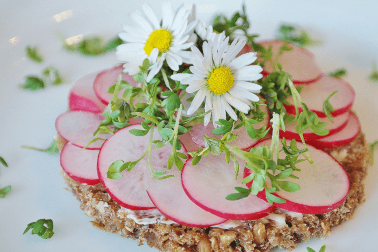 Radieschen - Rezeptideen mit den Frühlingsboten in Pink - Gesundheitstipps